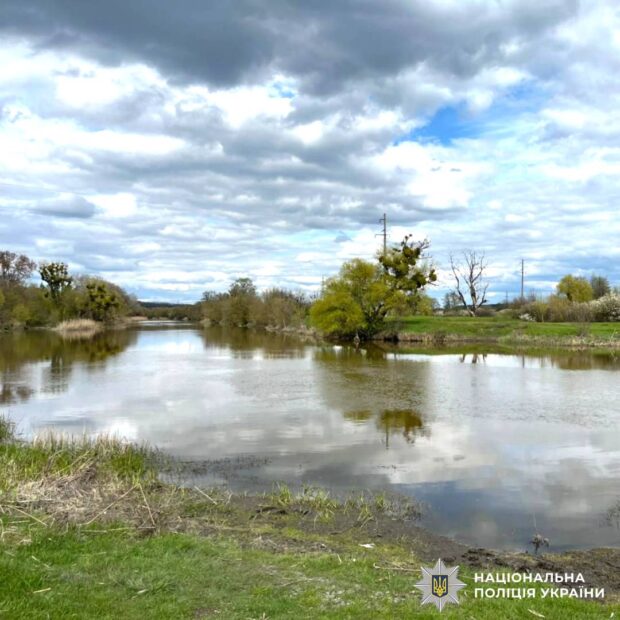 На Харківщині розслідують масову загибель риби у Сіверському Дінці