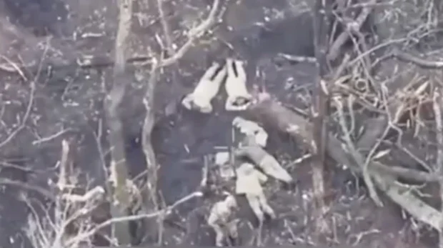 Росіяни розстріляли чотирьох українських полонених на Харківщині