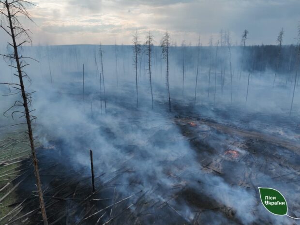 В Артемівському лісництві на Харківщині згасили пожежі, які зайнялися через російські удари