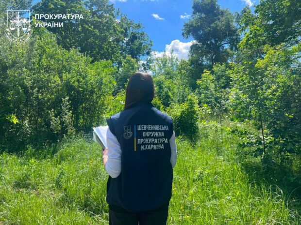 Прокуратура вимагає повернути місту землі Олексіївського лугопарку, які хотіли продати за $5 млн