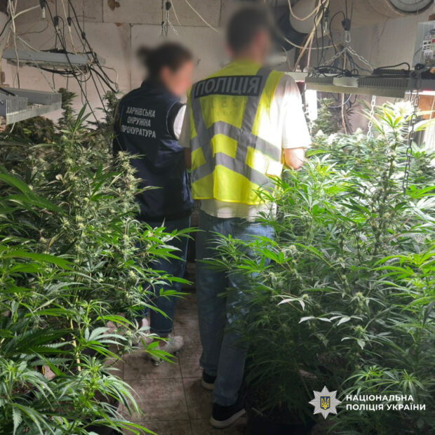 Поліція викрила чоловіка зі збутом наркотиків через пошту на Харківщині