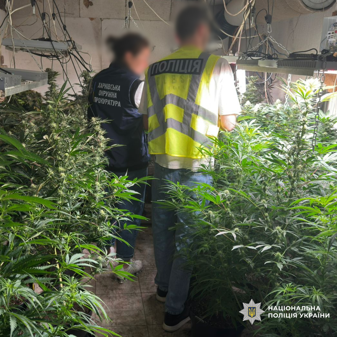 Поліція викрила чоловіка зі збутом наркотиків через пошту на Харківщині