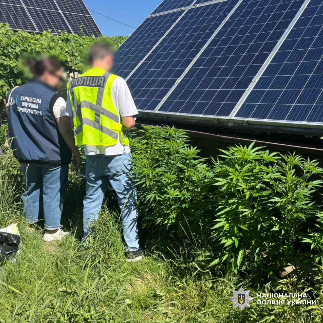 Поліція викрила чоловіка зі збутом наркотиків через пошту на Харківщині