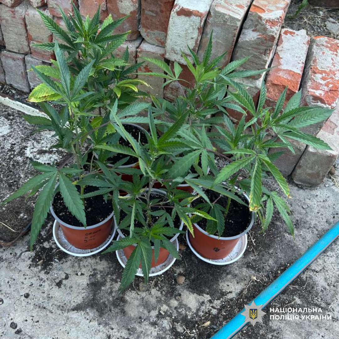 Поліція викрила чоловіка зі збутом наркотиків через пошту на Харківщині