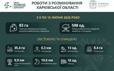 На Харківщині за тиждень виявили та знищили майже 600 вибухонебезпечних предметів