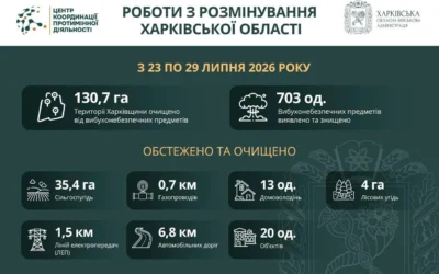 Розмінування Харківщини: за тиждень сапери очистили понад 131 гектар території та знешкодили 703 боєприпаси