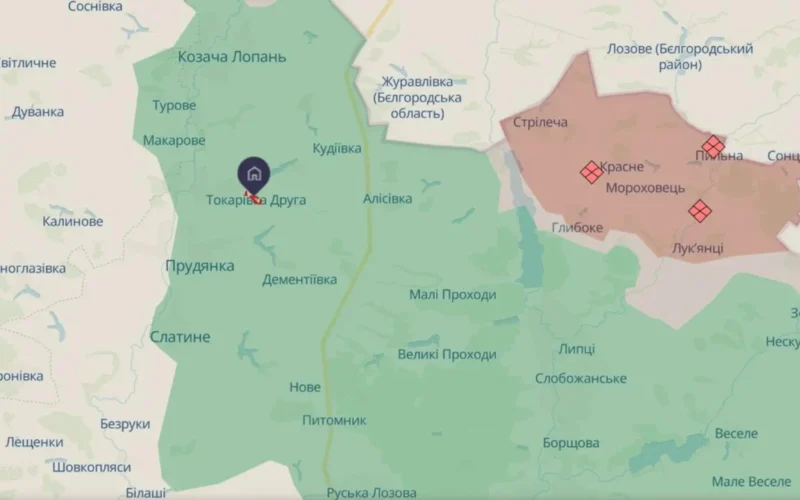 Росіяни вбили дроном останню жительку села на прикордонні Харківщини — начальник МВА
