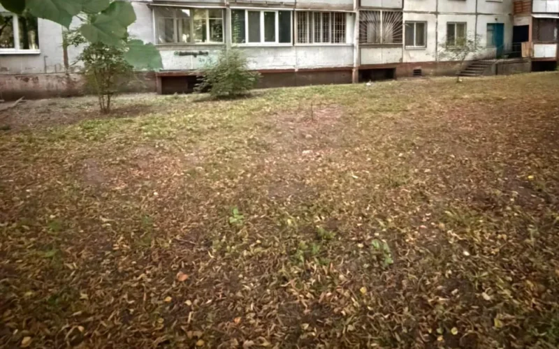 Підірвали димові шашки біля будинків: у Салтівському районі поліція шукає хуліганів