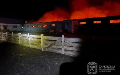 Минулої доби російських ударів зазнали 11 населених пунктів Харківської області - Синєгубов
