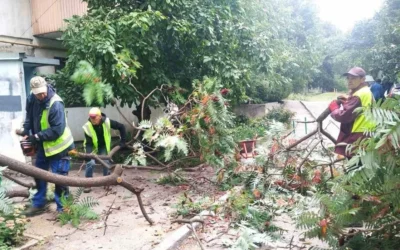 Ліквідація наслідків негоди у Харкові: комунальники прибирають повалені дерева