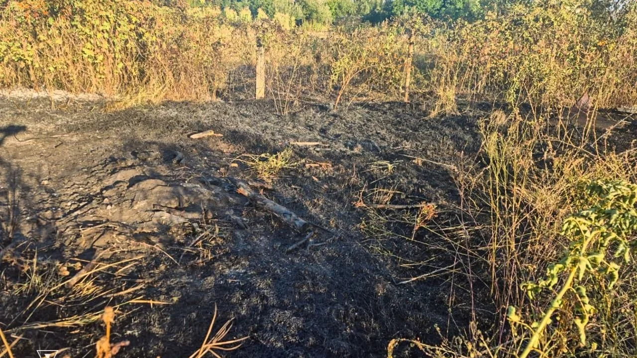 Спалювання сухостою на Харківщині: у Нововодолазькій громаді під час пожежі загинула 85-річна жінка