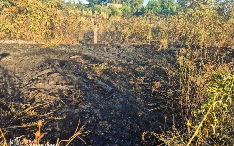 Спалювання сухостою на Харківщині: у Нововодолазькій громаді під час пожежі загинула 85-річна жінка