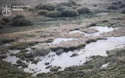Біла вода у річці Мерла: на Богодухівщині розслідують забруднення