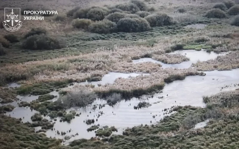 Біла вода у річці Мерла: на Богодухівщині розслідують забруднення